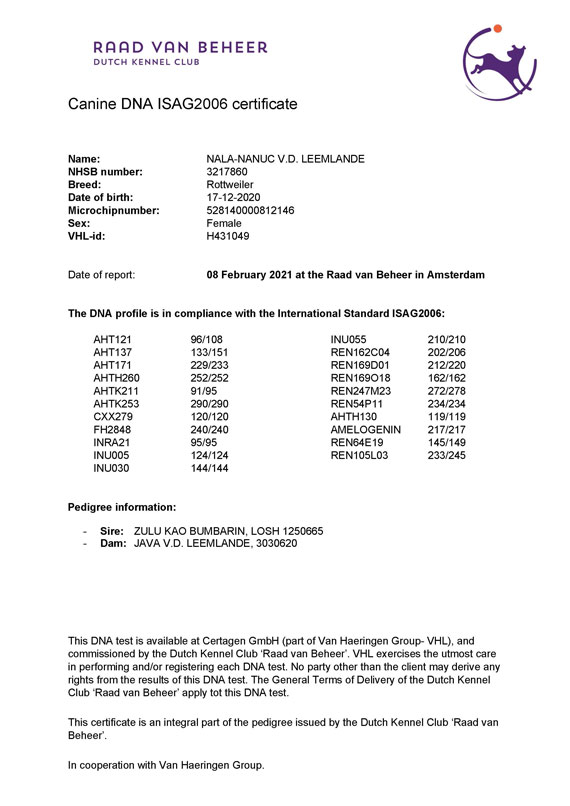 Certificaat DNA