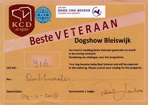 document beste veteraan