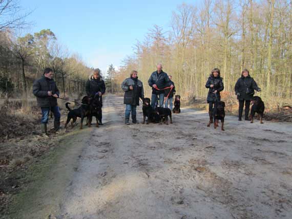 carnaval wandeling