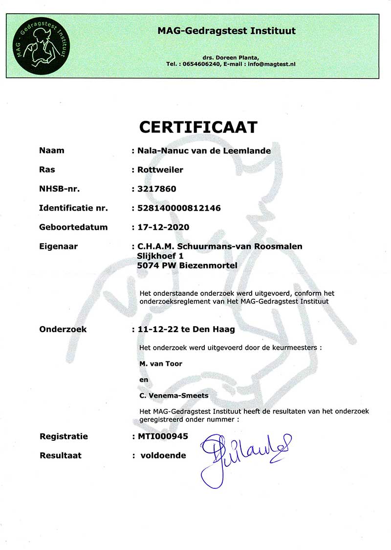 certificaat MAG-test