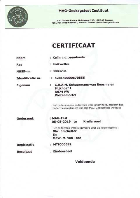 Certificaat MAG-test