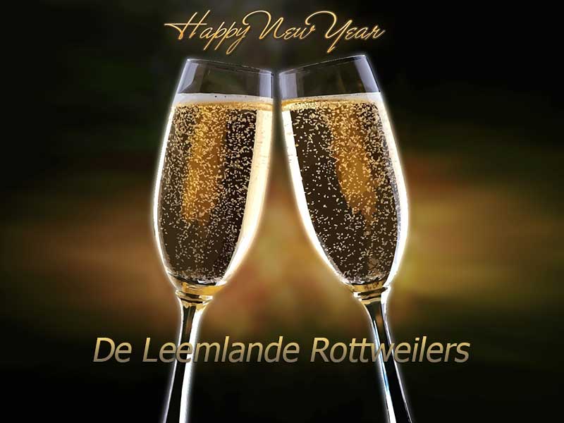 happy new year afbeelding