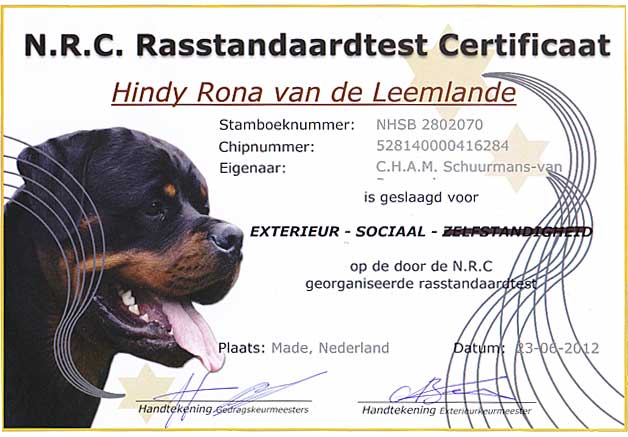 Certificaat Hindy Rasstandaard test