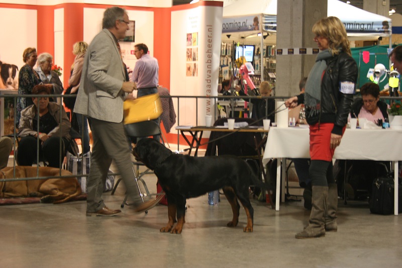 Hindy show Nieuwegein