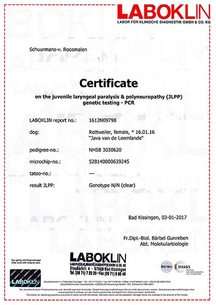 Certificaat JLPP uitslag Java