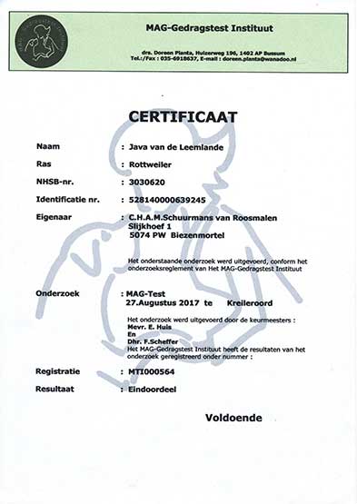 Certificaat MAG-test Java