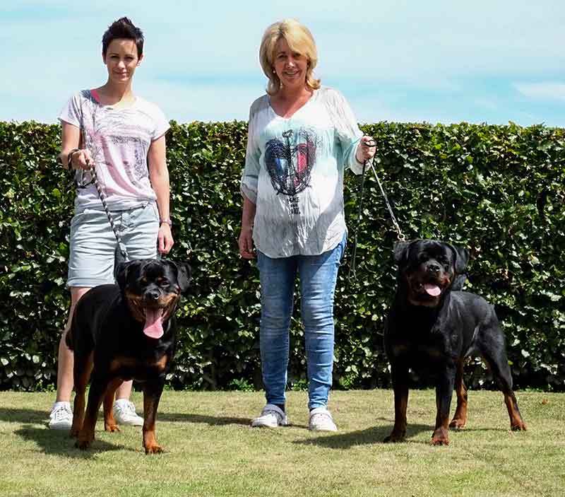 Rottweiler zusjes Java en Jenn van de Leemlande