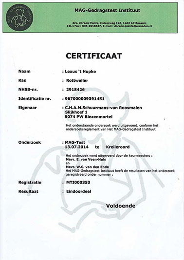 Certificaat Lexus MAG-test
