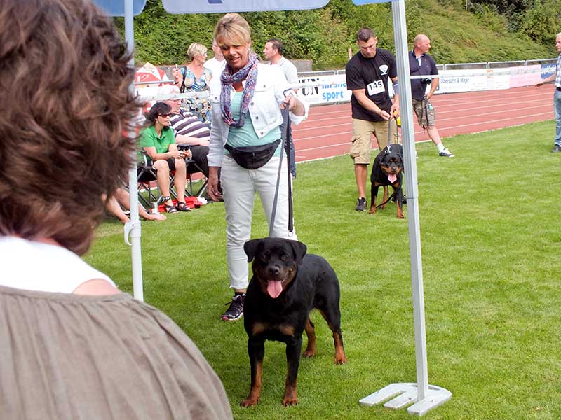 De Klubsieger show in Rottweil