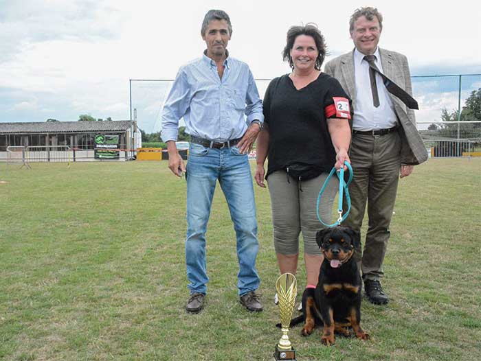 afbeelding Rottweiler Luke Beste Baby in show.