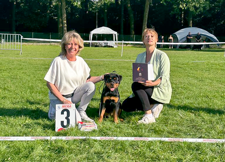 afbeelding pippin op show