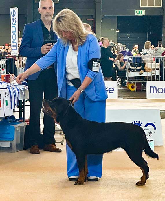 foto Pippin op show in Gent