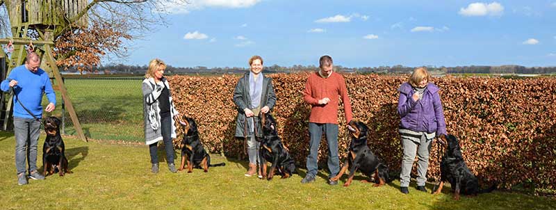 puppy's uit het K nest op de terugkomdag