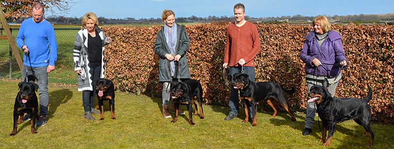 puppy's uit het K nest op de terugkomdag