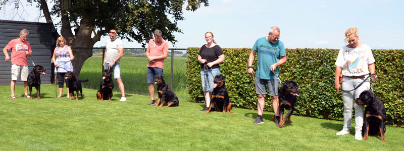 puppy's uit het M nest op de terugkomdag