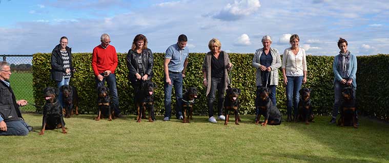 puppy terugkomdag 2016