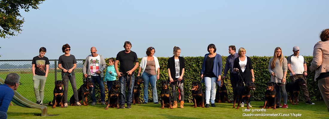 puppy's uit het J nest op de terugkomdag