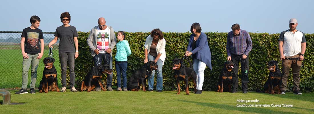 puppy's uit het J nest op de terugkomdag