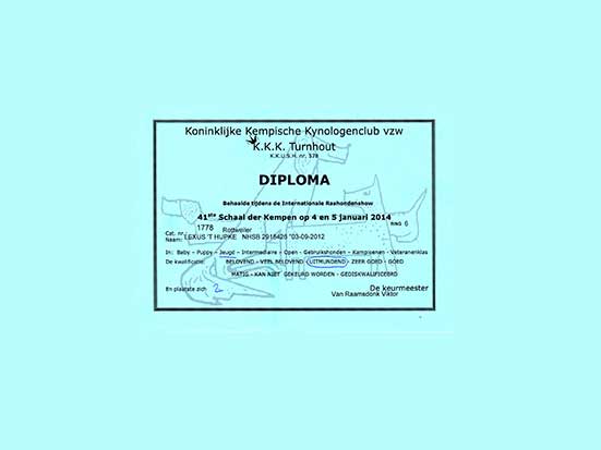 diploma